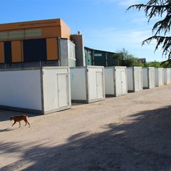 Las peñas de Palazuelos se trasladan al centro del pueblo