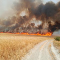 Más de 200 hectáreas calcinadas tras un incendio en el almacén de biomasa de Cuéllar