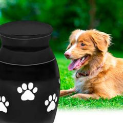 Espirdo tendrá un crematorio para mascotas