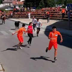 El Espinar estrena encierros taurinos