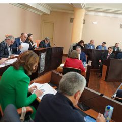El pleno aprueba por unanimidad el reglamento de teletrabajo en la Diputación