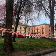 La alerta por viento obligan al cierre de parques y jardines 
