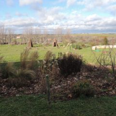 El jardín naturalista de Torrecaballeros florece con éxito