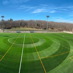 El campo municipal del Real Sitio estrena césped