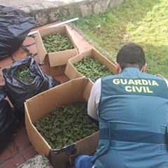 Tres detenidos y 60 kg de marihuana confiscados en el nordeste de la provincia
