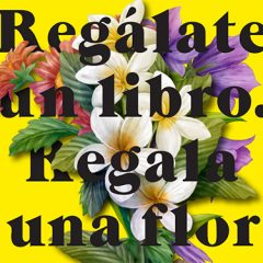 Lluvia de actividades para el día del libro