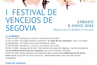El 8 de junio llega el I Festival de Vencejos de Segovia