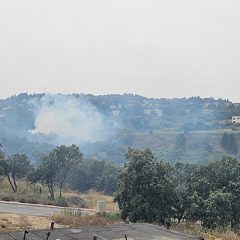 Conato de incendio en Los Ángeles de San Rafael