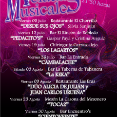 Palazuelos ambienta con música las noches veraniegas