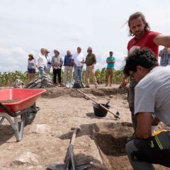 Nueva campaña de excavación en Confloenta