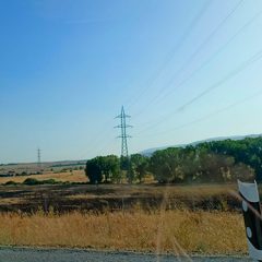 Sendos incendios calcinan la pradera entre la SG20 y Carrascalejo