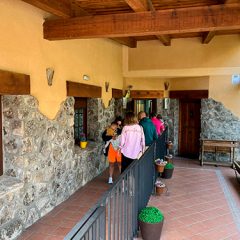 Castilla y León supera los 400.000 estudiantes gracias a la gratuidad en educación infantil