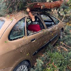 La DANA causa caída de árboles, destrozos en coches y cortes de luz en El Espinar