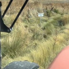 Un cartel ‘extraterrestre’ en Segovia desata el humor y la imaginación en TikTok