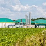 La plataforma de Pinarejos acude al Común por el proyecto de biometano