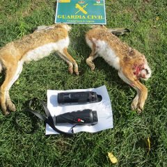 Cinco investigados por caza furtiva en Encinillas