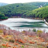 Vertido de aguas industriales alcanza el cauce del río Pirón