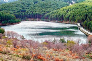 Vertido de aguas industriales alcanza el cauce del río Pirón