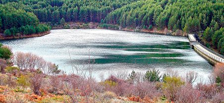 Vertido de aguas industriales alcanza el cauce del río Pirón