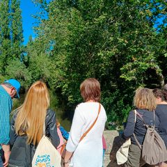 Más de 30 niños buscan familias de acogida en Segovia