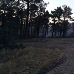 Más de 40 hectáreas de pinar afectadas por un incendio en Cuéllar