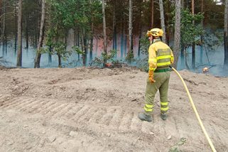 La Junta convierte en fijos a todos los discontinuos del operativo forestal