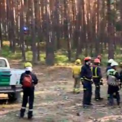 Un incendio en pleno pinar de Valsaín calcina 0.8Ha de bosque