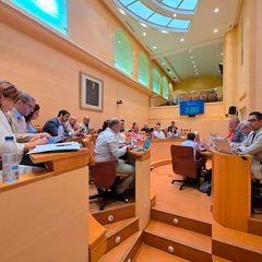 Obstrucción parlamentaria y crisis de la democracia