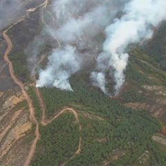 Bajo control el fuego del Pico del Lobo entre críticas a la labor de Castilla-La Mancha