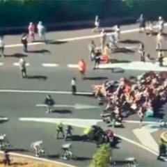 Vingegaard gana la Vuelta en Guadarrama en una accidentada etapa por el boicot a Israel