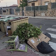 El verano agrava los vertidos incontrolados en los contenedores de Palazuelos