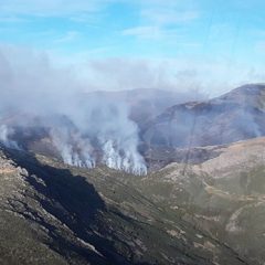 El incendio del Pico del Lobo cerca de ser estabilizado
