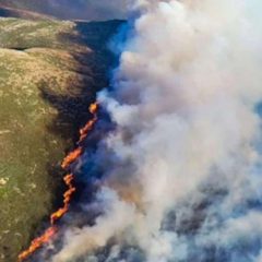El incendio del Pico del Lobo arrasa más de 700 hectáreas y mantiene en alerta en Segovia