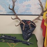 Interceptado en Zarzuela del Pinar con un ciervo decapitado y el rifle aún caliente