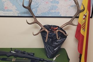 Interceptado en Zarzuela del Pinar con un ciervo decapitado y el rifle aún caliente
