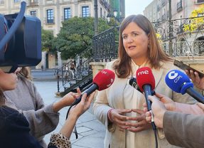 Clara Martín a Mazarías: “Presente la cuestión de confianza y deje los descalificativos”