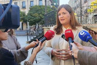El PSOE obliga a Mazarías, por orden judicial, a permitir el acceso al expediente de la calle Tours