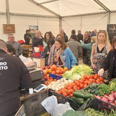 La Feria del Ganado de Navafría sale adelante pese a las restricciones de reses