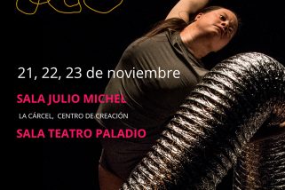 Teatro inclusivo y accesible en una nueva edición del Festival Internacional Paladio Arte