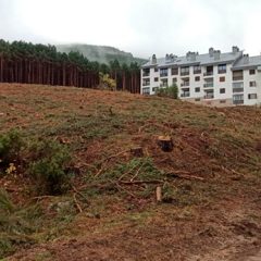 Denuncian talas y movimientos de tierra en La Pinilla pese a la orden judicial de suspensión