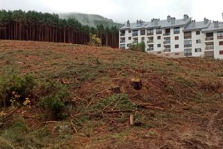 La Pinilla niega irregularidades y pide rigor informativo