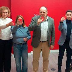 PSOE, listos para las Autonómicas