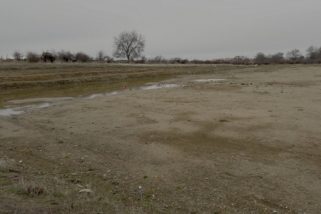 Polémica en San Cristóbal por un campo de fútbol proyectado en terreno inundable