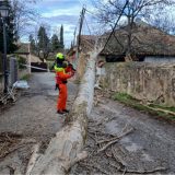 Caída de árboles, incendios y gases tóxicos ponen a prueba al nuevo servicio de bomberos