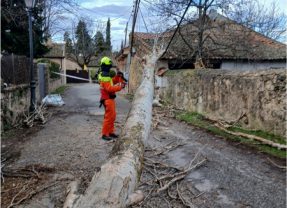 Caída de árboles, incendios y gases tóxicos ponen a prueba al nuevo servicio de bomberos
