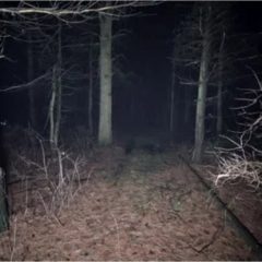 Rescatados de madrugada dos senderistas, uno de ellos menor, en el Alto del León