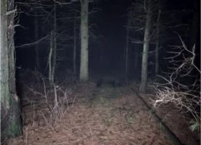 Rescatados de madrugada dos senderistas, uno de ellos menor, en el Alto del León