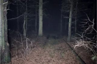 Rescatados de madrugada dos senderistas, uno de ellos menor, extraviados en el Alto del León