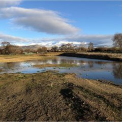El solar del futuro campo de fútbol de San Cristóbal vuelve a anegarse