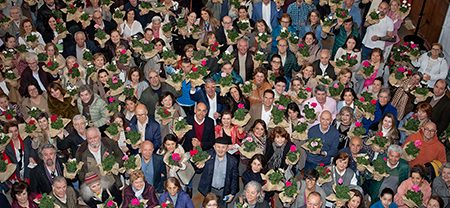 Florece una nueva tradición en La Granja, reparto masivos de geranios